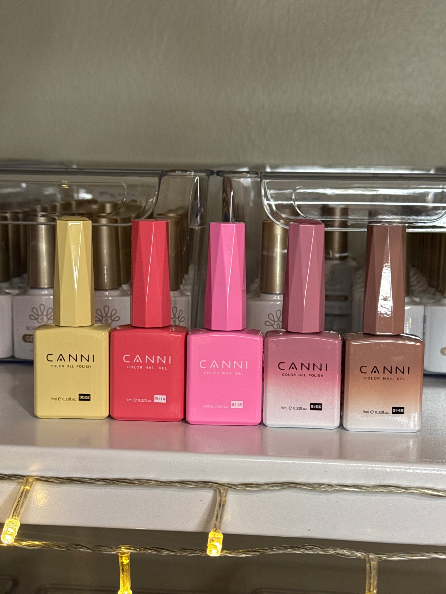 Pack Canni Summer 🌊🐚