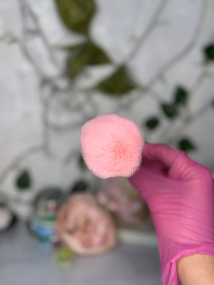 Brosse à poussière 🌸