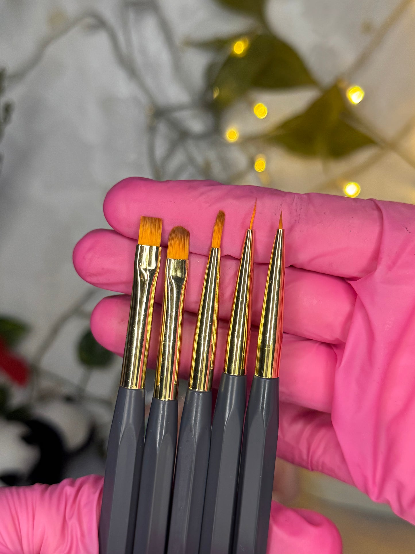 Pinceaux 5PCS gel/french
