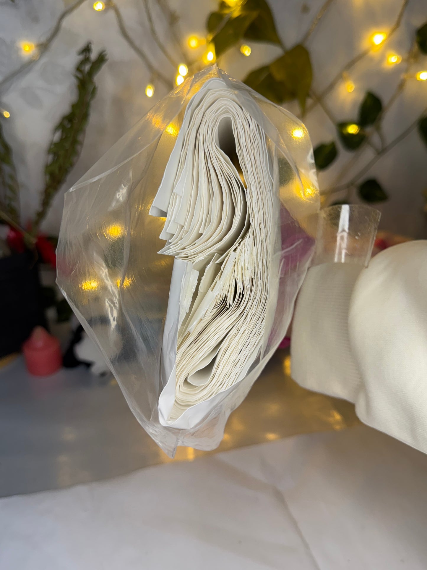 Sachets de livraison 🚚