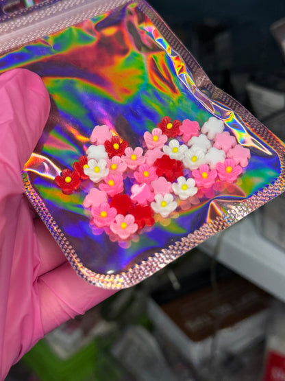 Fleurs Sakura 🌸