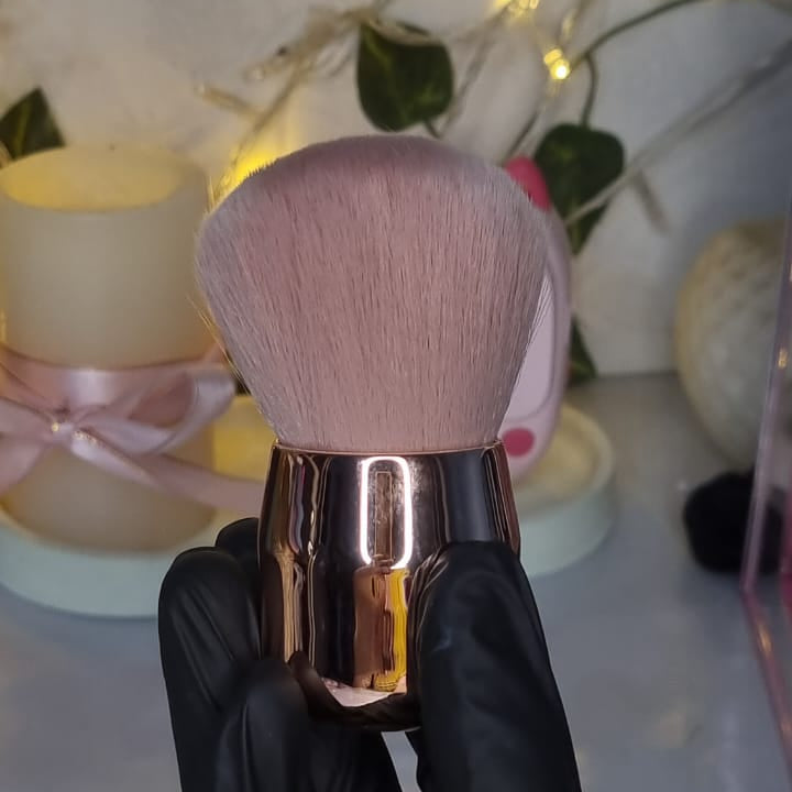 Brosse Anti Poussière
